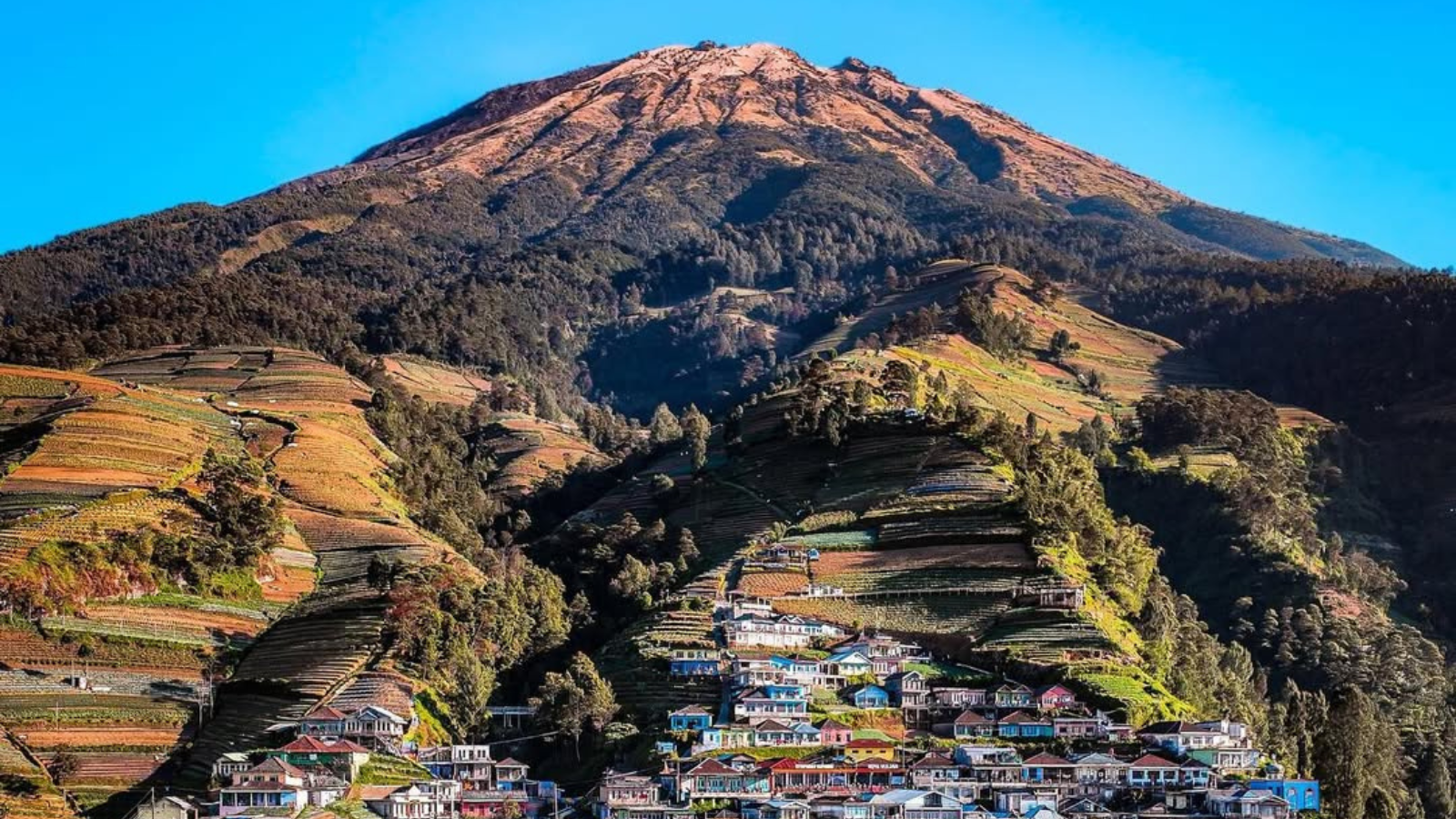 nepal van java magelang